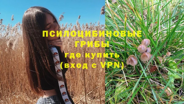 бошки Балахна